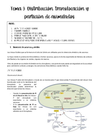 Tema-9-fisio-veg.pdf