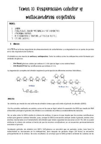 tema-10-fisio-veg.pdf