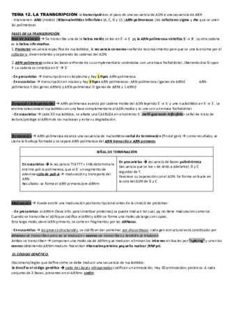 TEMA-12.pdf