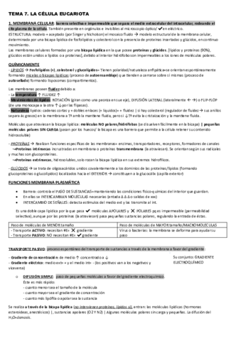 TEMA-7.pdf