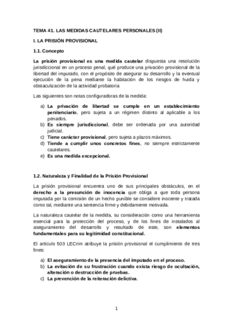 TEMA-41.pdf
