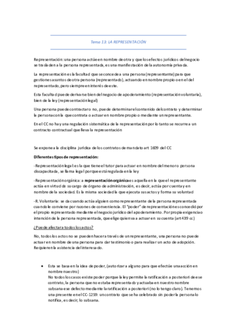 tema-13-civil-I.pdf