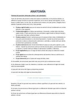 ANATOMIADEF.pdf