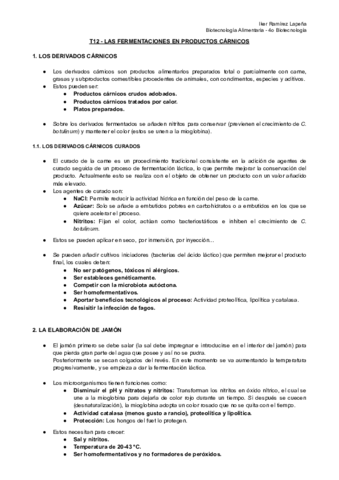 T12-BTAL-Las-Fermentaciones-en-Productos-Carnicos.pdf