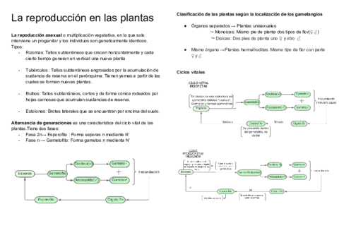 La-reproduccion-en-las-plantas.pdf