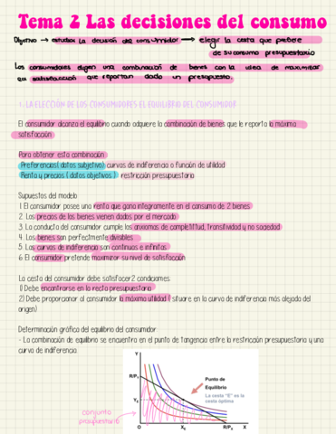 Tema-2-Micro.pdf