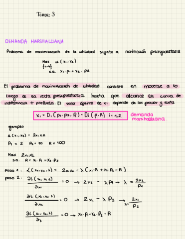 Tema-3-Micro.pdf