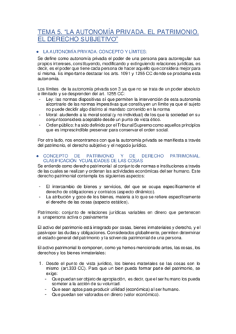 TEMA-5.pdf