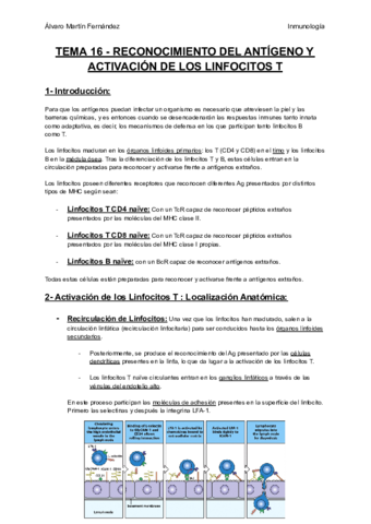 TEMA-16-RECONOCIMIENTO-DEL-ANTIGENO-Y-ACTIVACION-DE-LOS-LINFOCITOS-T.pdf