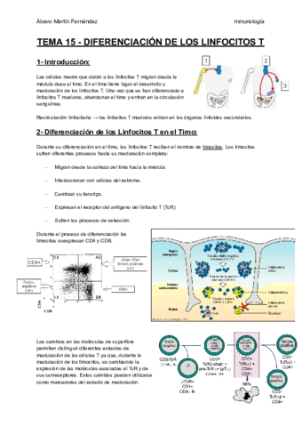 TEMA-15-DIFERENCIACION-DE-LOS-LINFOCITOS-T.pdf