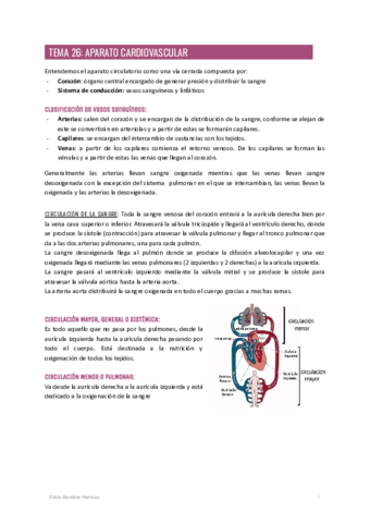 Anatomia-II-parte-visceral-Fernando.pdf