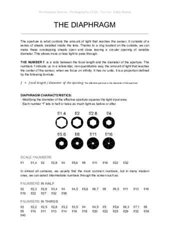 THE-DIAPHRAGM.pdf