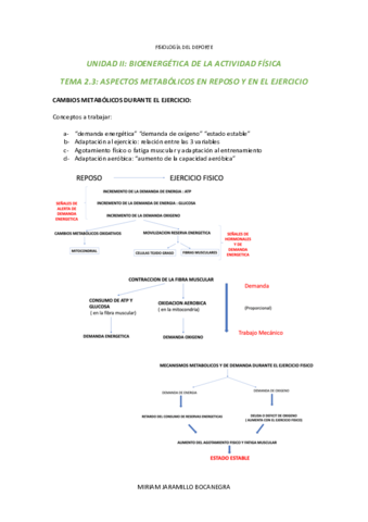 TEMA-2.pdf