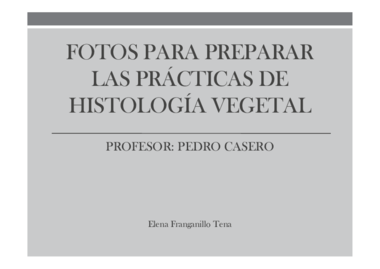 presentacion practicas.pdf