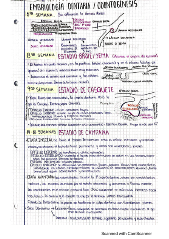 embriologia-dentaria-y-formacion-del-pat.pdf