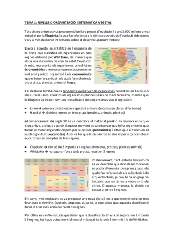 biologia vegetal complet.pdf