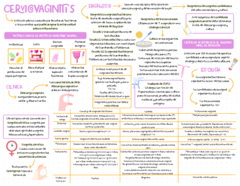 CERVICOVAGINITIS.pdf