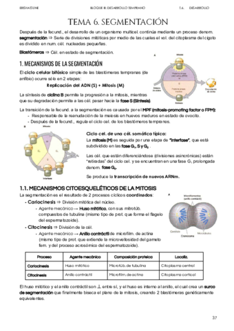 Tema-6-Segmentacion.pdf