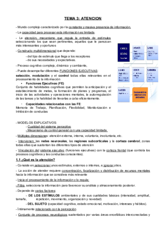 Atencion.pdf