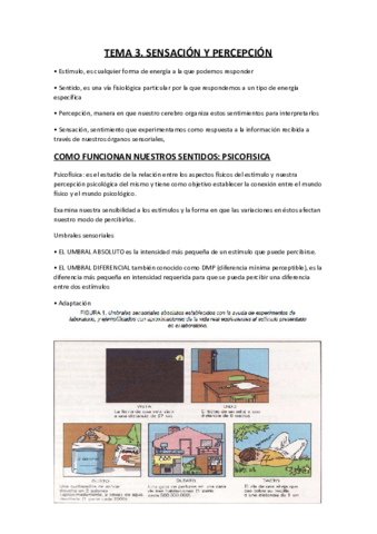 Sensacion-y-percepcion.pdf