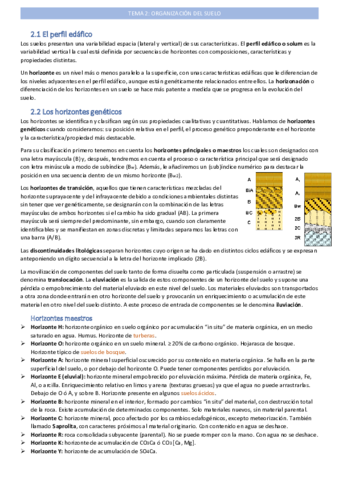 organizacion-del-suelotema-2.pdf