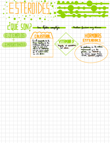 Esteroides.pdf