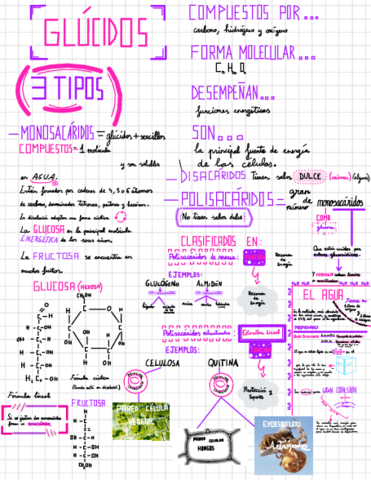 Glucidos.pdf