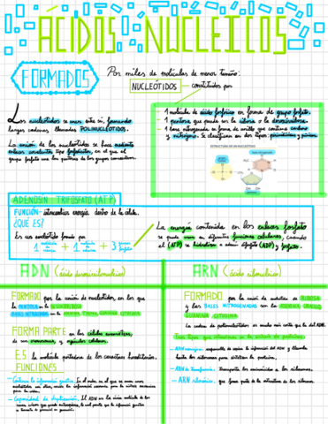 Acidos-Nucleicos.pdf