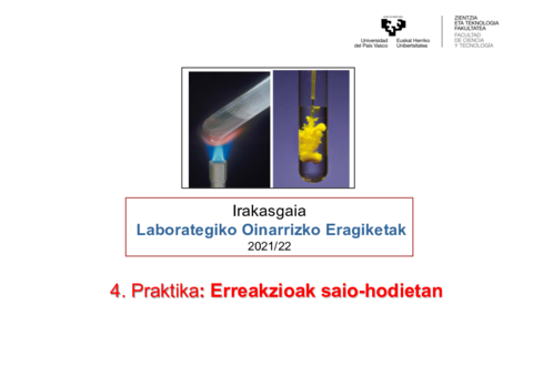 4Perreakzioaksaio-hodietan2021.pdf