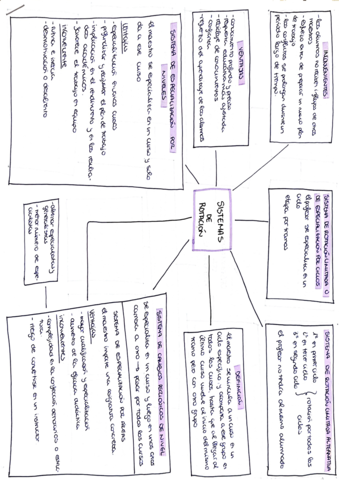 TEMA-4-ORGANIZACION-.pdf