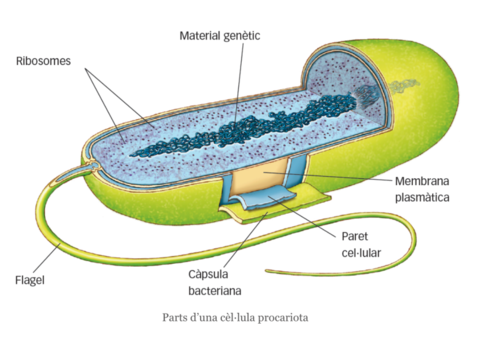 ACFrOgDch8ehR0S4BiZ-lRalrfSkW7PoouMFu1DMeeY4l6-zzm9nNKXNqwxmVbbV9dU7GMuvQETT6H0LXYCZpjmLhzHsex8cZ-qZmqpl3DWKPnv7lCCfg0x9Z5clRF-WBtuXIaiR09GKXHPOq.pdf