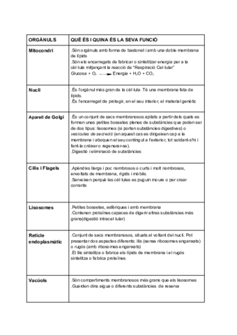 ACFrOgCBgO6m5rWmcEvP8lsaRH3lQmkrQpVNRq80sCT1Goh7j7t4ElfTF6cJuupLEiG3MNLp7QKru6XGpl0o8R1OQ8QxztT9uBxOH5YwDcn1dexWyQgLJwPACRUfN0HHK-4KdzYKOZJbeIAyyqW.pdf