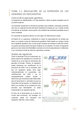 Tema-2.pdf