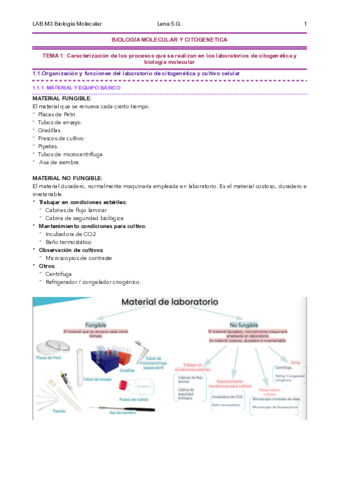 00-BMC-Tema-1-Apuntes-Lena.pdf