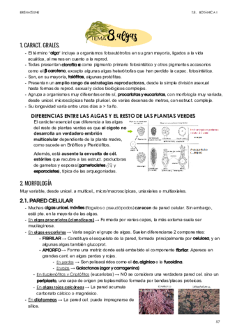 Tema-8.pdf