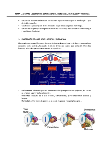 TEMA-1.pdf