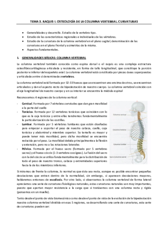 TEMA-3.pdf