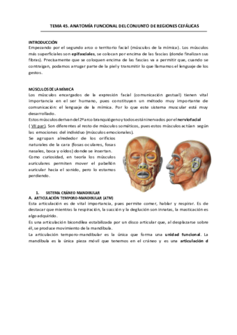 TEMA-45.pdf