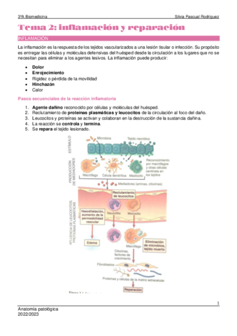 Tema-2-Anatomia-patologica.pdf