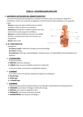 TEMA-10-RESUMEN-FISIO-FISIOPATOLOGIA-DIGESTIVA.pdf