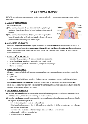 TEMA-7-GM-RESUMEN-LAS-MUESTRAS-DE-ESPUTO.pdf