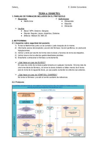 TEMA-9-DIABETES.pdf