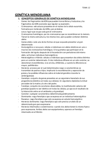 TEMA-12.pdf
