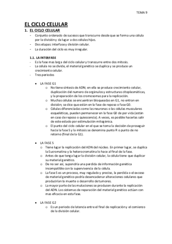TEMA-9.pdf
