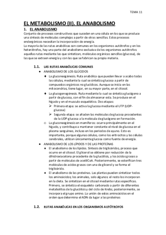 TEMA-11.pdf