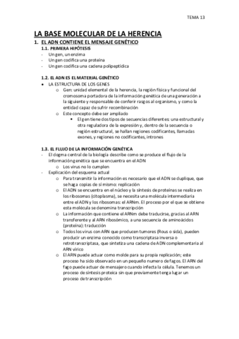 TEMA-13.pdf