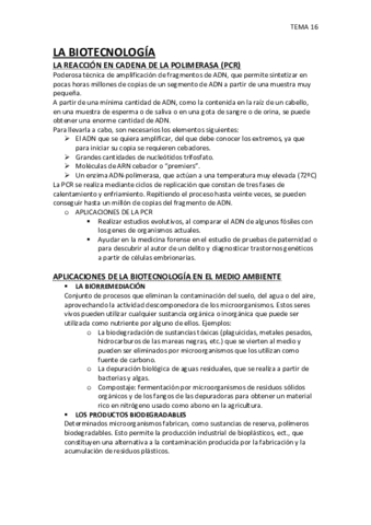 TEMA-16.pdf