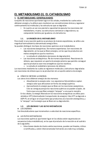 TEMA-10.pdf