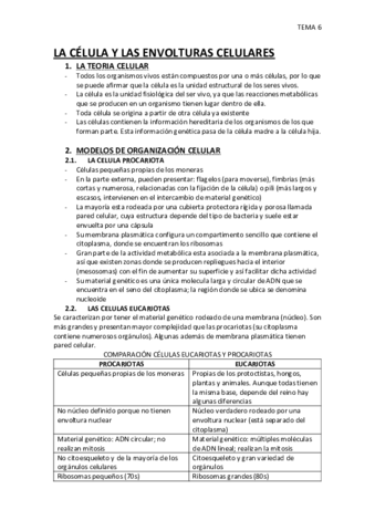 TEMA-6.pdf