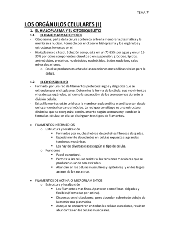 TEMA-7.pdf